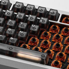 Dual-Rail Hi-Fi Linear Switch (90PCS/Star Amber)