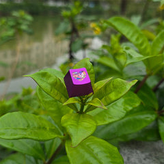 Vibrant Glass Heart Original R4 Profile 220-Grit Anodizing Aluminum Alloy Keycaps for ESC Row