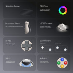 Retroid Pocket 6 5.5-Inch AMOLED Handheld Gaming Console