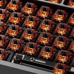 Dual-Rail Hi-Fi Linear Switch (90PCS/Star Amber)