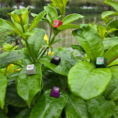 Vibrant Glass Heart Original R4 Profile 220-Grit Anodizing Aluminum Alloy Keycaps for ESC Row